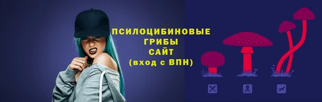 кокаин перу Абаза
