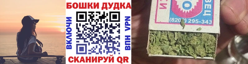 Бошки марихуана конопля  blacksprut зеркало  Кисловодск 